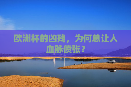 欧洲杯的凶残,为何总让人血脉偾张?