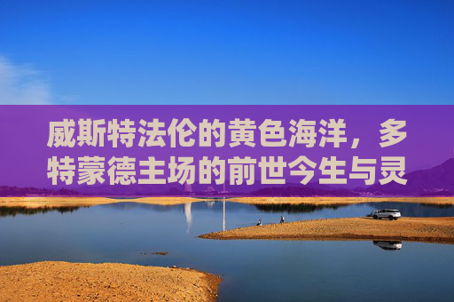 威斯特法伦的黄色海洋,多特蒙德主场的前世今生与灵魂印记,威斯特法伦的黄色海洋,多特蒙德主场的前世今生与灵魂印记