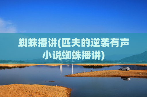 蜘蛛播讲(匹夫的逆袭有声小说蜘蛛播讲)