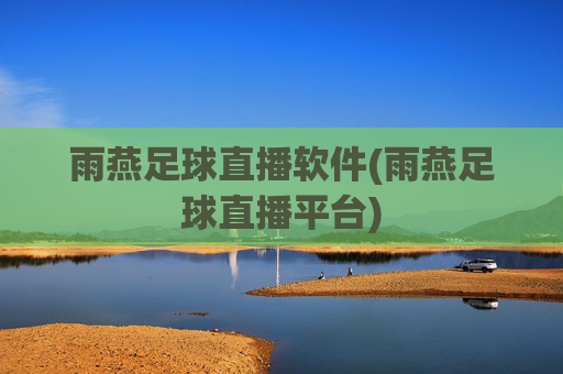 雨燕足球直播软件(雨燕足球直播平台)