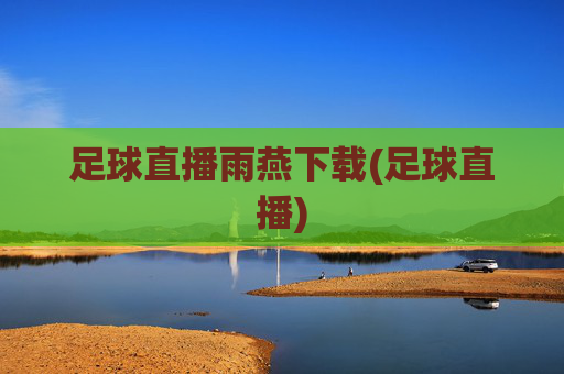 足球直播雨燕下载(足球直播)