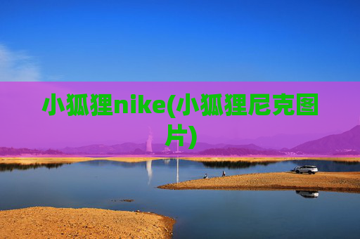 小狐狸nike(小狐狸尼克图片)