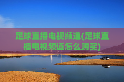 足球直播电视频道(足球直播电视频道怎么购买)