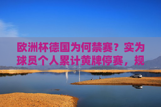 欧洲杯德国为何禁赛?实为球员个人累计黄牌停赛,规则下的必然结果,欧洲杯德国禁赛,球员累计黄牌停赛,规则下的必然结果