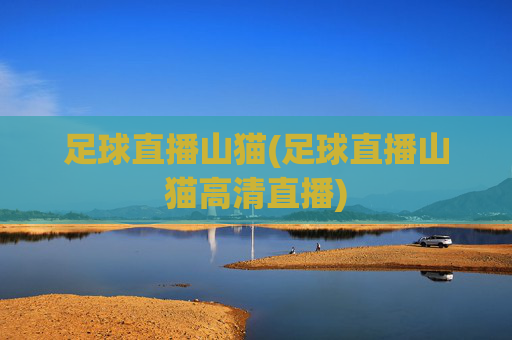 足球直播山猫(足球直播山猫高清直播)