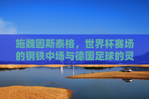 施魏因斯泰格,世界杯赛场的钢铁中场与德国足球的灵魂,施魏因斯泰格,世界杯钢铁中场与德国足球灵魂
