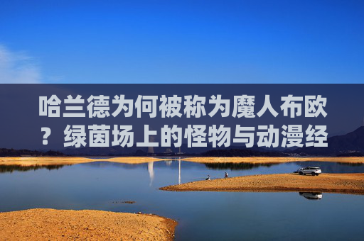 哈兰德为何被称为魔人布欧?绿茵场上的怪物与动漫经典的奇妙共鸣,绿茵场魔人布欧,哈兰德与动漫经典的球场共鸣