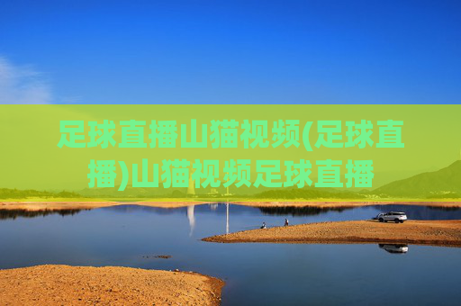 足球直播山猫视频(足球直播)山猫视频足球直播