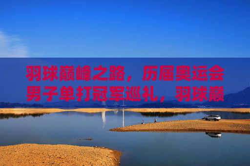 羽球巅峰之路，历届奥运会男子单打冠军巡礼，羽球巅峰之路，历届奥运会男子单打冠军巡礼