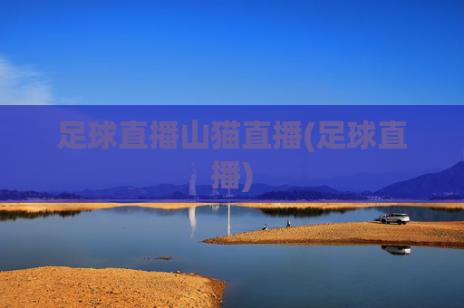 足球直播山猫直播(足球直播)