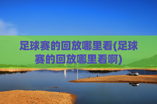 足球赛的回放哪里看(足球赛的回放哪里看啊)