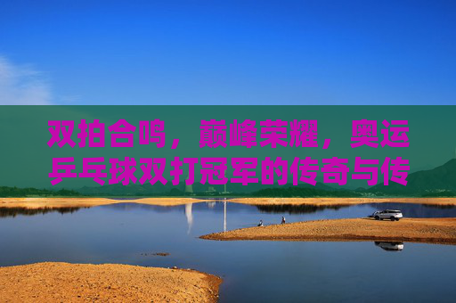 双拍合鸣,巅峰荣耀,奥运乒乓球双打冠军的传奇与传承