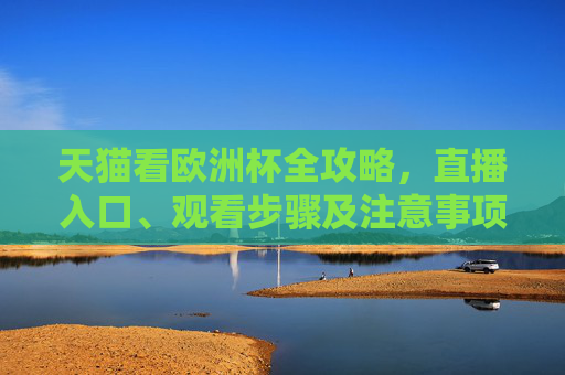 天猫看欧洲杯全攻略,直播入口、观看步骤及注意事项,天猫看欧洲杯全攻略,直播入口、观看步骤及注意事项
