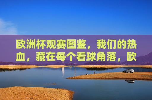欧洲杯观赛图鉴，我们的热血，藏在每个看球角落，欧洲杯观赛图鉴，每个角落，都有我们的热血