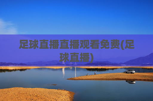足球直播直播观看免费(足球直播)