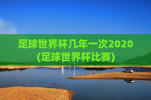足球世界杯几年一次2020(足球世界杯比赛)