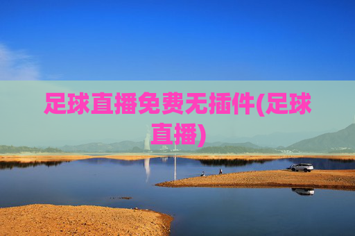 足球直播免费无插件(足球直播)