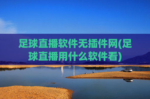 足球直播软件无插件网(足球直播用什么软件看)