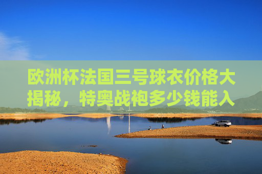 欧洲杯法国三号球衣价格大揭秘，特奥战袍多少钱能入手？欧洲杯法国三号球衣价格大揭秘，特奥战袍入手价