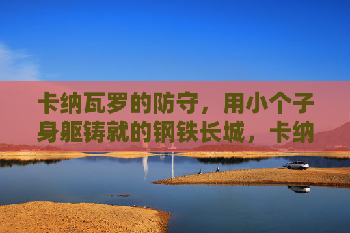 卡纳瓦罗的防守,用小个子身躯铸就的钢铁长城,卡纳瓦罗,小个子身躯铸就钢铁长城