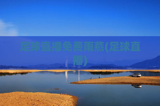足球直播免费雨燕(足球直播)