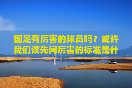 国足有厉害的球员吗?或许我们该先问厉害的标准是什么,国足球员厉害与否,先问厉害的标准