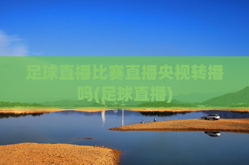 足球直播比赛直播央视转播吗(足球直播)