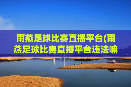 雨燕足球比赛直播平台(雨燕足球比赛直播平台违法嘛)