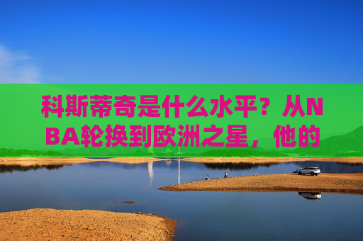 科斯蒂奇是什么水平?从NBA轮换到欧洲之星,他的职业生涯有多全面?科斯蒂奇,从NBA轮换到欧洲之星的全面生涯