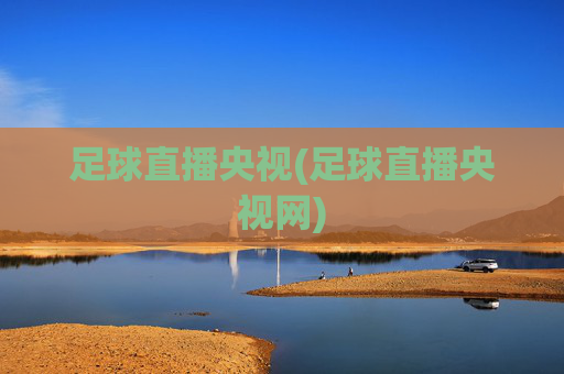 足球直播央视(足球直播央视网)