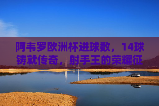 阿韦罗欧洲杯进球数，14球铸就传奇，射手王的荣耀征程，阿韦罗欧洲杯14球铸就射手王传奇