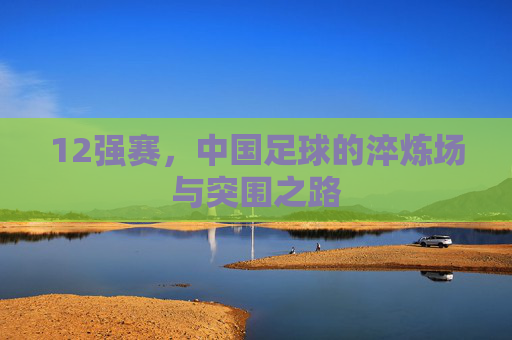 12强赛,中国足球的淬炼场与突围之路
