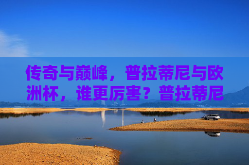 传奇与巅峰,普拉蒂尼与欧洲杯,谁更厉害?普拉蒂尼与欧洲杯,传奇巅峰谁更胜一筹