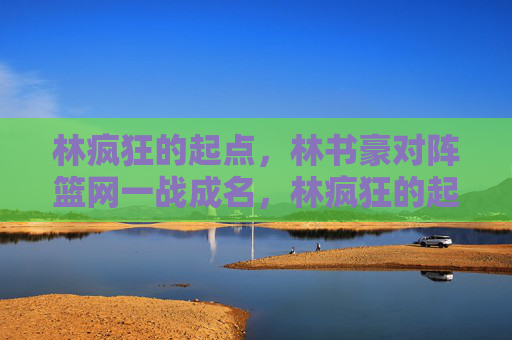 林疯狂的起点，林书豪对阵篮网一战成名，林疯狂的起点，林书豪对阵篮网一战成名