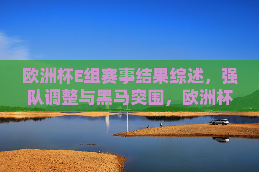 欧洲杯E组赛事结果综述，强队调整与黑马突围，欧洲杯E组综述，强队调整与黑马突围