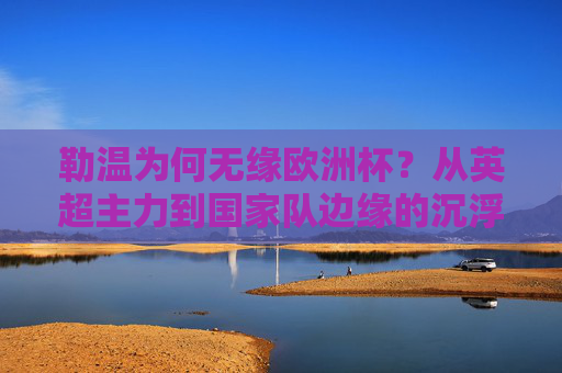 勒温为何无缘欧洲杯?从英超主力到国家队边缘的沉浮之路,勒温无缘欧洲杯,从英超主力到国家队边缘的沉浮
