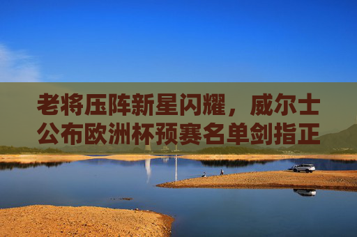 老将压阵新星闪耀，威尔士公布欧洲杯预赛名单剑指正赛资格，威尔士欧洲杯预赛名单，老将压阵新星闪耀，剑指正赛资格