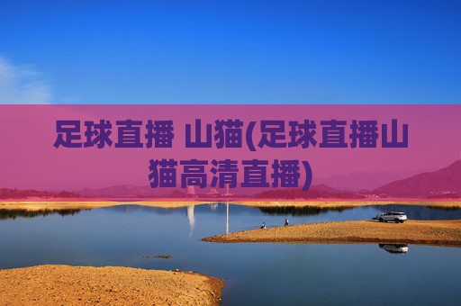 足球直播 山猫(足球直播山猫高清直播)