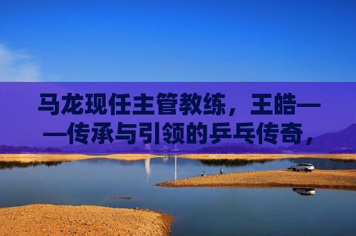 马龙现任主管教练，王皓——传承与引领的乒乓传奇，王皓，传承引领，乒乓传奇