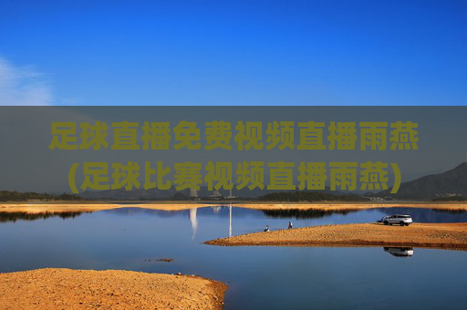 足球直播免费视频直播雨燕(足球比赛视频直播雨燕)