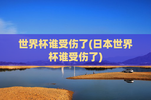 世界杯谁受伤了(日本世界杯谁受伤了)