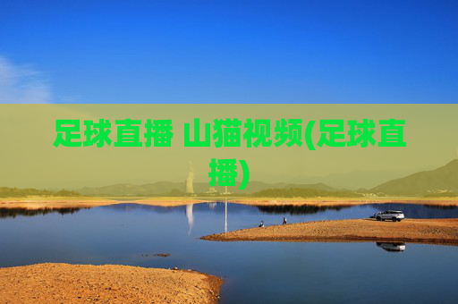 足球直播 山猫视频(足球直播)
