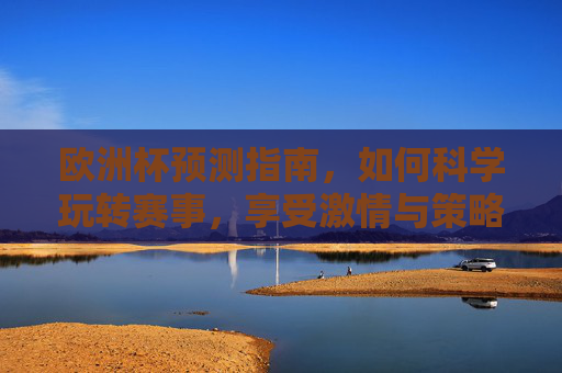 欧洲杯预测指南，如何科学玩转赛事，享受激情与策略的双重盛宴，欧洲杯预测指南，科学玩转赛事，尽享激情与策略盛宴