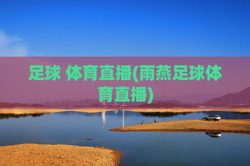 足球 体育直播(雨燕足球体育直播)