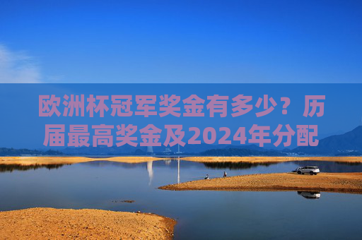 欧洲杯冠军奖金有多少?历届最高奖金及2024年分配详解,欧洲杯冠军奖金,历届最高及2024年分配详解