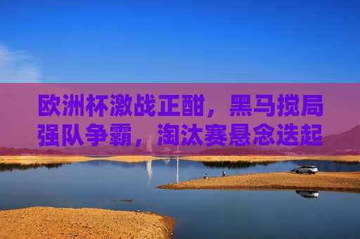欧洲杯激战正酣，黑马搅局强队争霸，淘汰赛悬念迭起，欧洲杯淘汰赛，黑马搅局强队争霸，悬念迭起