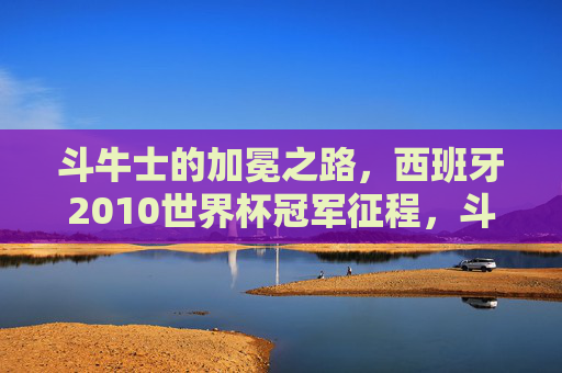 斗牛士的加冕之路,西班牙2010世界杯冠军征程,斗牛士的2010世界杯加冕之路