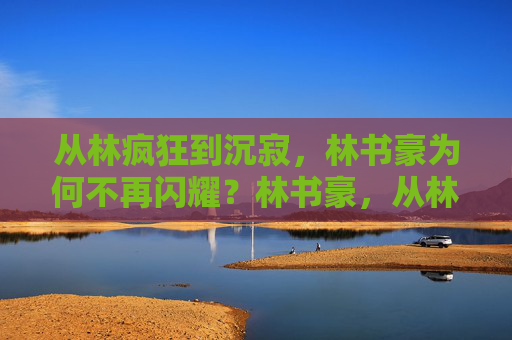 从林疯狂到沉寂，林书豪为何不再闪耀？林书豪，从林疯狂到沉寂，闪耀为何不再？