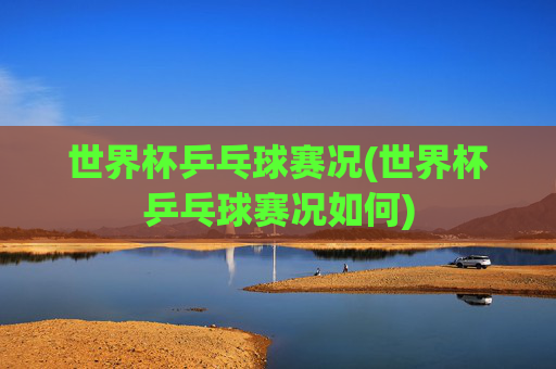 世界杯乒乓球赛况(世界杯乒乓球赛况如何)