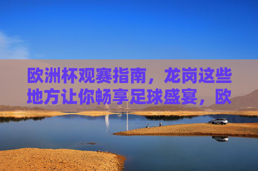 欧洲杯观赛指南，龙岗这些地方让你畅享足球盛宴，欧洲杯观赛指南，龙岗这些地方畅享足球盛宴